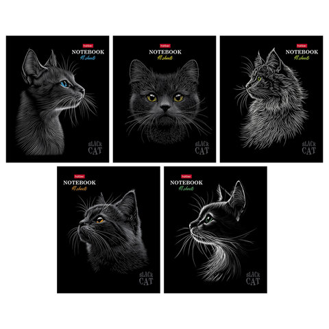 превью Тетрадь А5, 48 л., HATBER, скоба, клетка, матовая ламинация, 3D-лак, «Black Cat» (микс в спайке), 093159