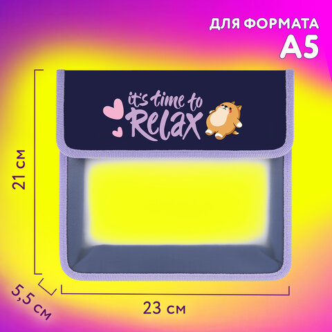 Папка для тетрадей ЮНЛАНДИЯ А5, пластик, 2 отделения, клапан на липучке, «Bored cat»