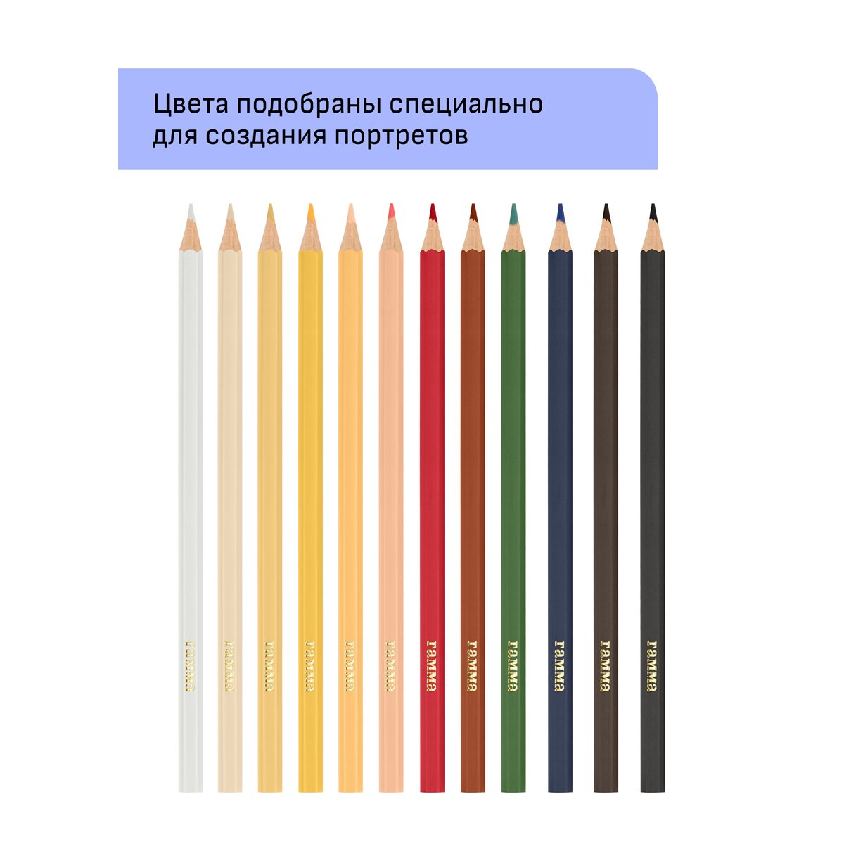 Карандаши цветные Гамма «Хобби. Портрет», 12цв., заточен., ПВХ, европодвес