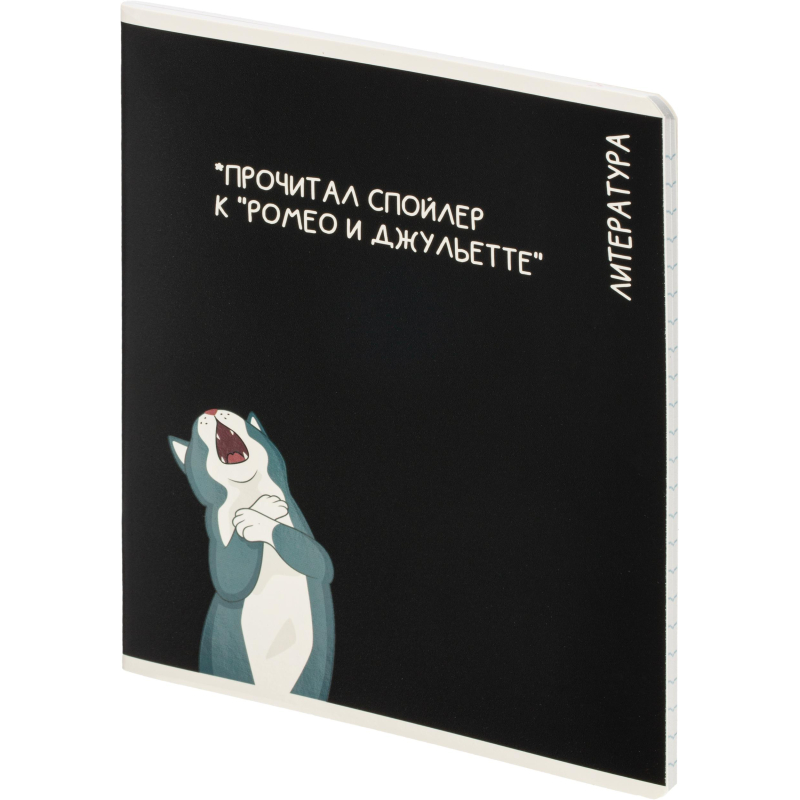 Тетрадь предметная КОТЫ МЕМЫ, набор12 шт.48л, А5+, клетка/линия/71449