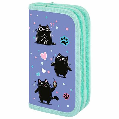 Пенал ПИФАГОР, 2 отделения, ламинированный картон, 19×11 см, «Funny cats»