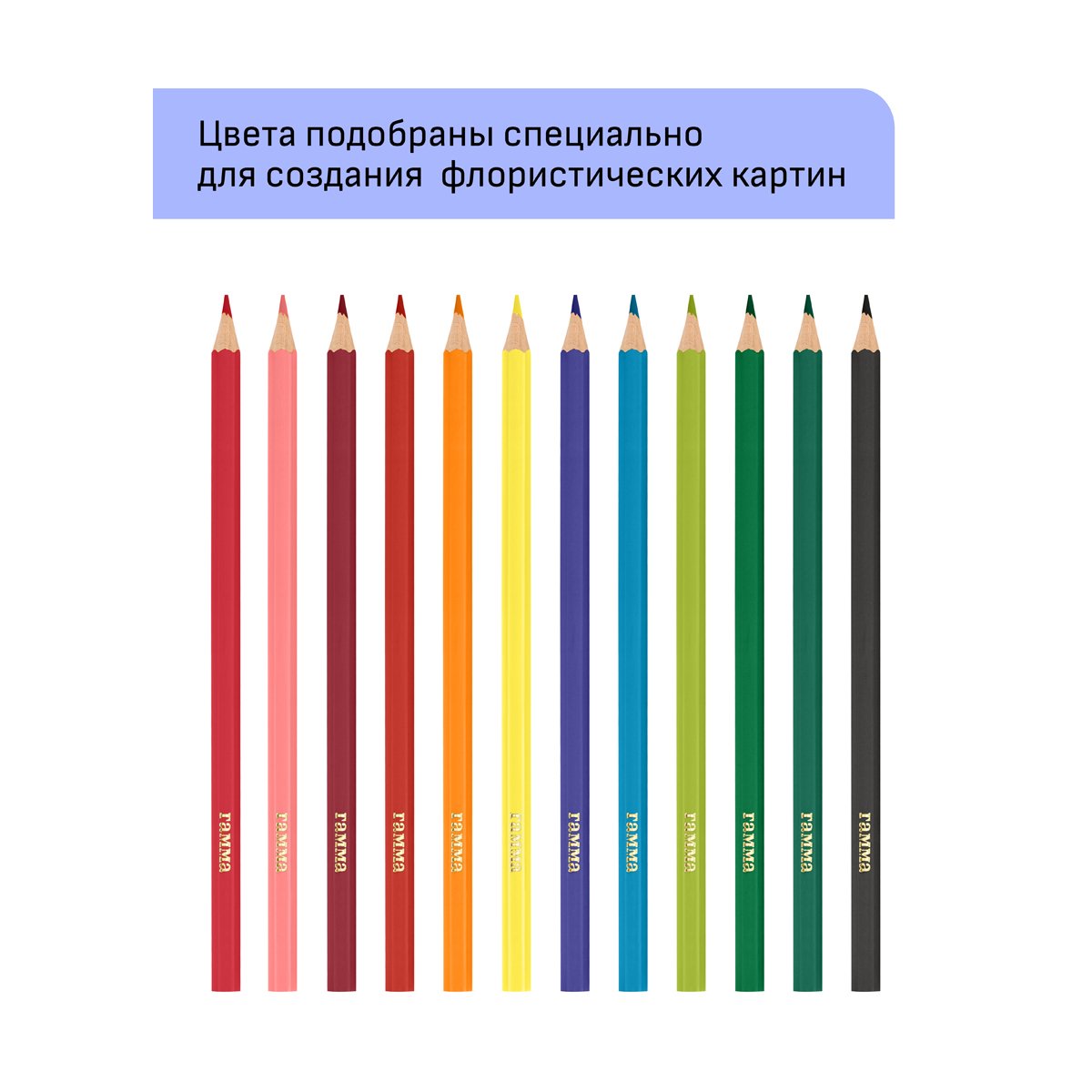 Карандаши цветные Гамма «Хобби. Флористика», 12цв., заточен., ПВХ, европодвес