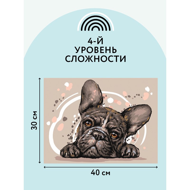 Картина по номерам на картоне ТРИ СОВЫ «Французский бульдог», 30×40, с акриловыми красками и кистями