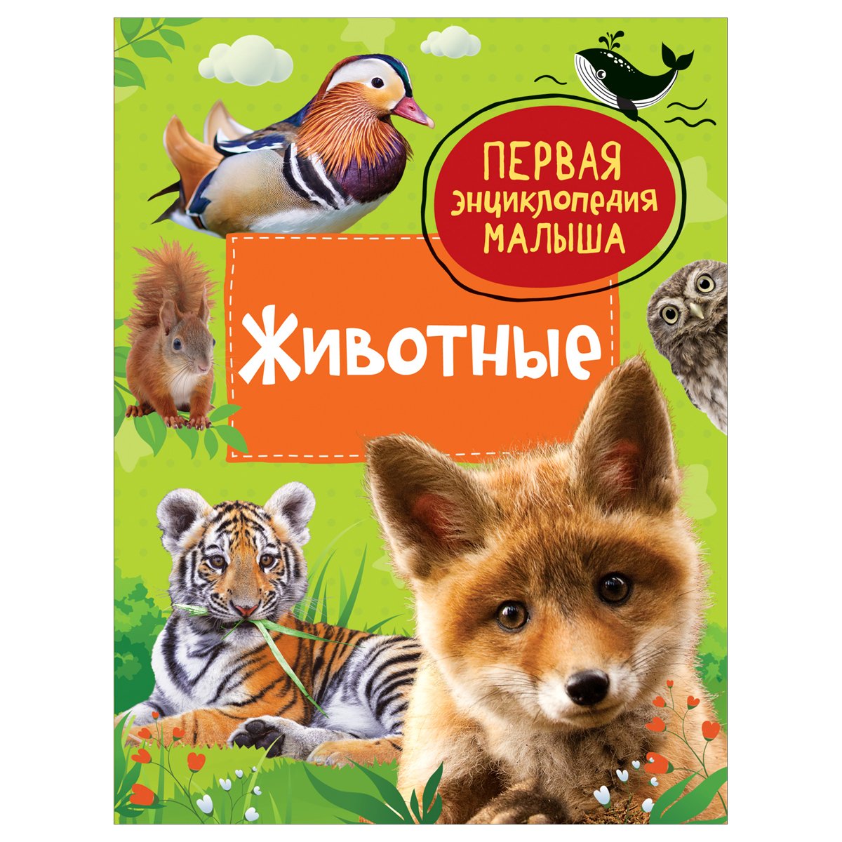 превью Энциклопедия Росмэн 167×220, «Первая энциклопедия малыша. Животные», 48стр., 3+