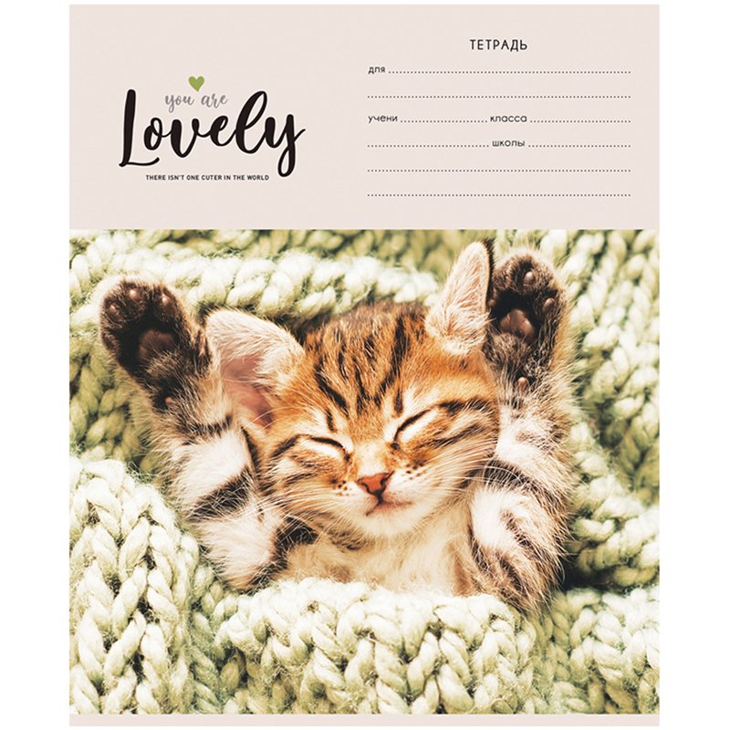 Тетрадь 12л., клетка ArtSpace «Питомцы. Lovely Cat», эконом