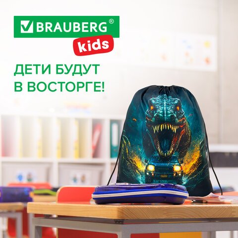 Мешок для обуви BRAUBERG KIDS, с петлей, 42×34 см, «Dino chase»