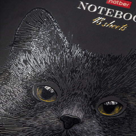 Тетрадь А5, 48 л., HATBER, скоба, клетка, матовая ламинация, 3D-лак, «Black Cat» (микс в спайке), 093159