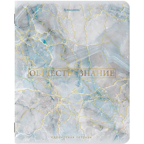 Тетради предметные, КОМПЛЕКТ 10 ПРЕДМЕТОВ, «PASTEL», 48 л., SoftTouch, фольга, 70 г/м2, BRAUBERG
