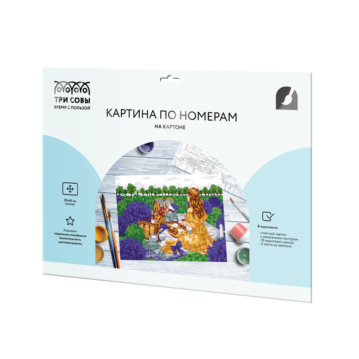 Картина по номерам на картоне ТРИ СОВЫ «Пикник», 30×40, с акриловыми красками и кистями