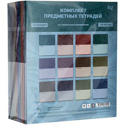 Комплект (12 шт. ) предметных тетрадей 48л. BG «Single colour», эконом