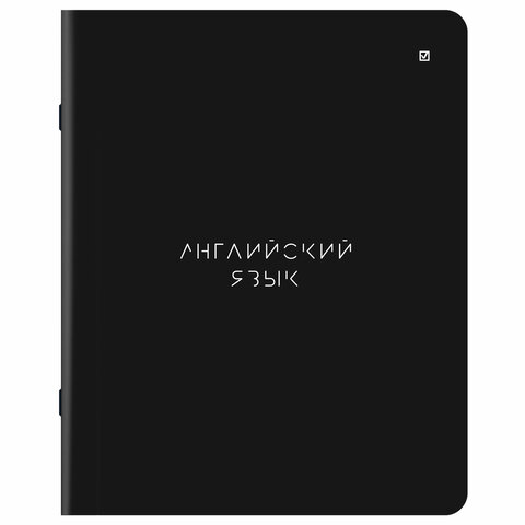 Тетради предметные, КОМПЛЕКТ 5 ПРЕДМЕТОВ, 48 л., матовая ламинация, BRAUBERG «MINIMAL»
