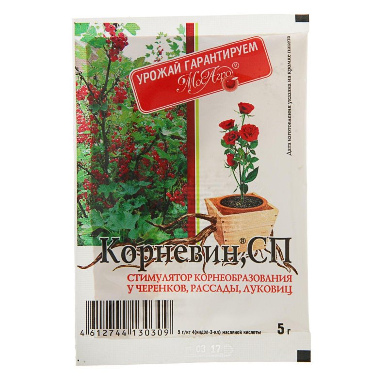 Корневин Вайлдберриз