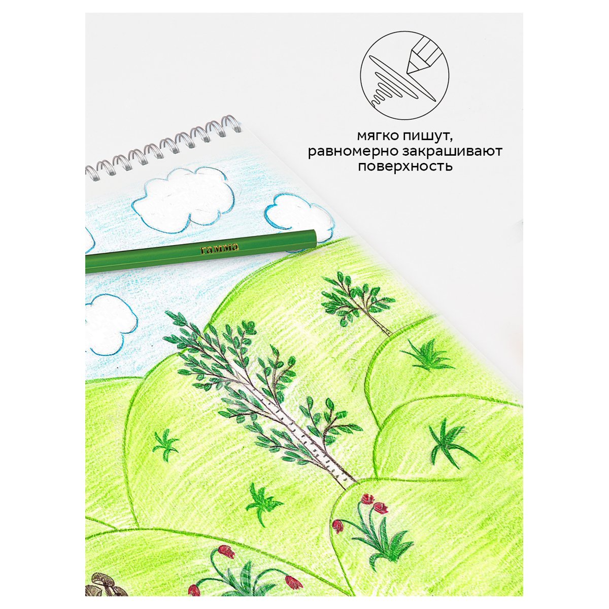 Карандаши цветные Гамма «Классические», 24цв., заточен., картон. упаковка, европодвес