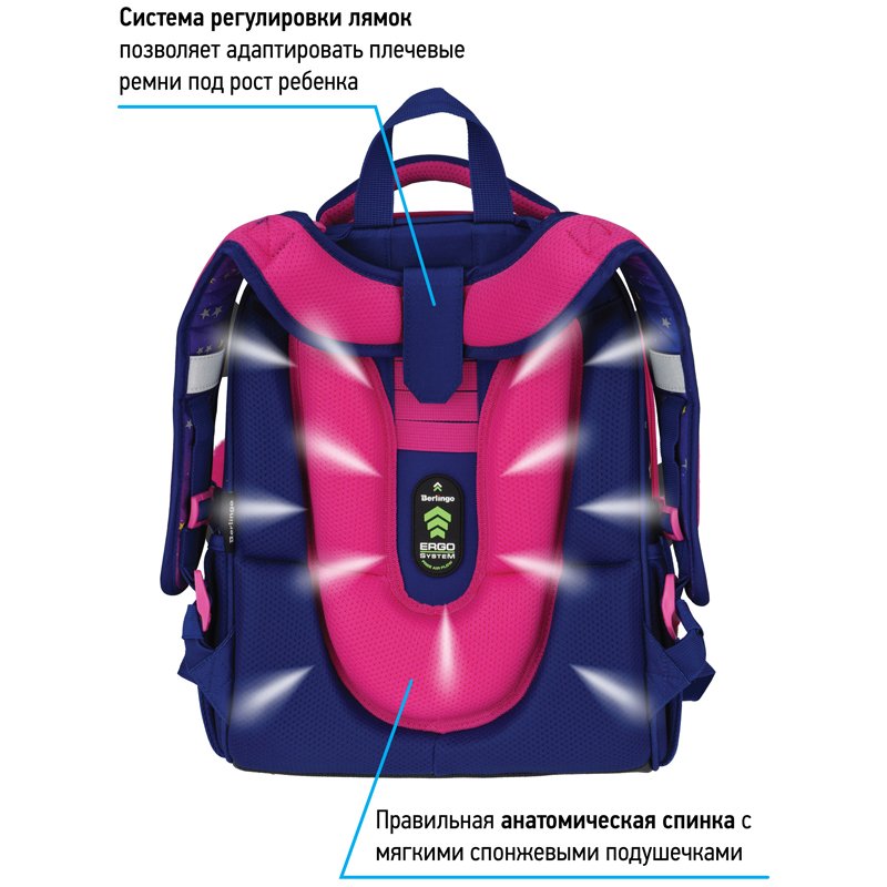Ранец Berlingo Expert «Akita boy» 37×28×16см, 2 отделения, 2 кармана, анатомическая спинка