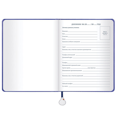 Дневник 1-11 класс 48 л., кожзам (твердая с поролоном), печать, ляссе с аппликацией, BRAUBERG, «Гуси»