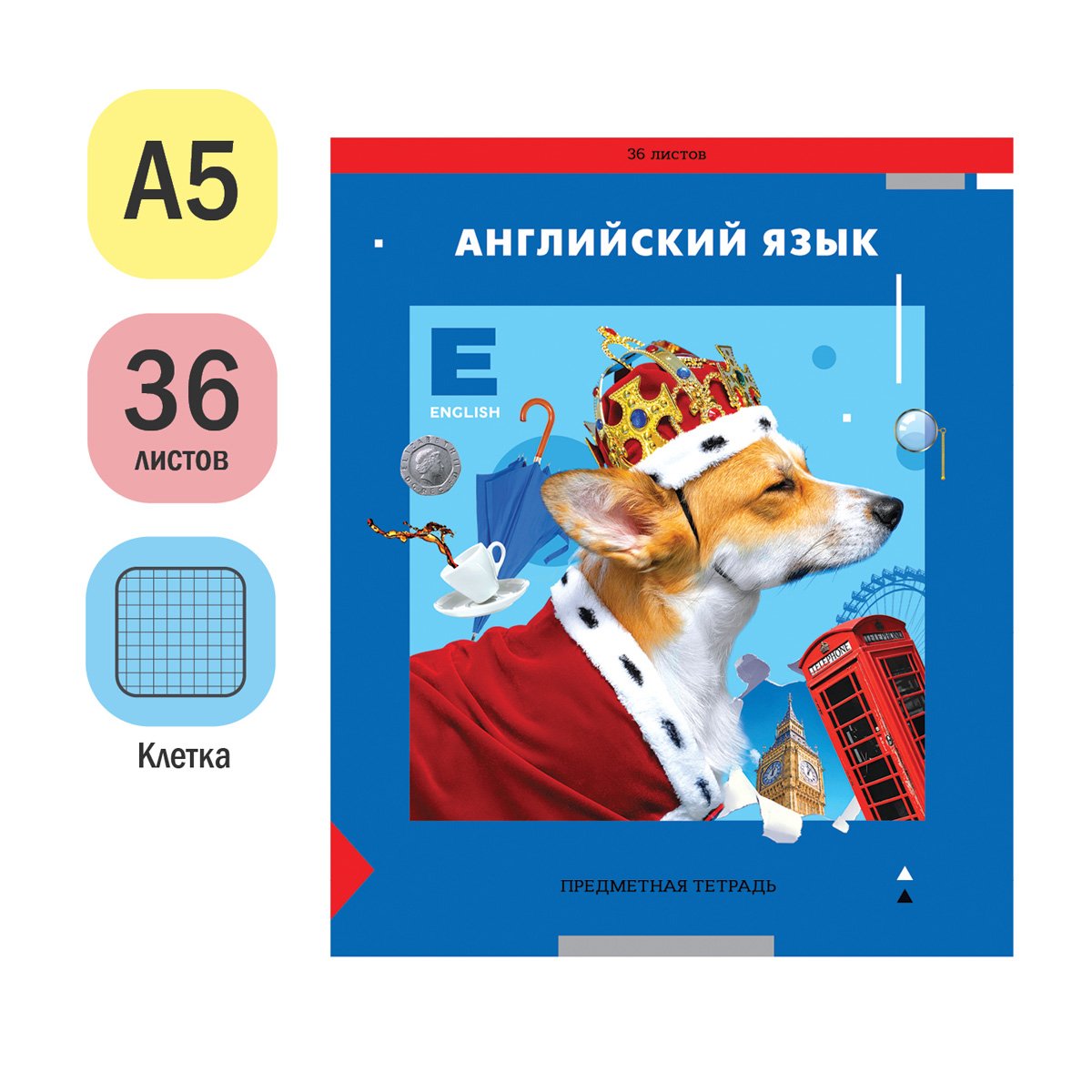 Тетрадь предметная 36л. ArtSpace «Пять в квадрате» - Английский язык, эконом
