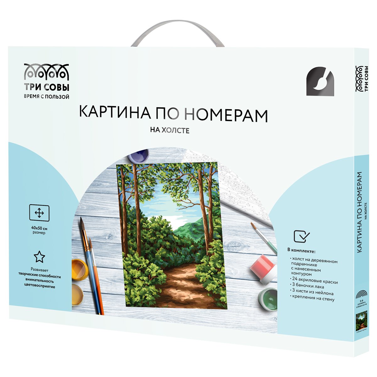 Картина по номерам на холсте ТРИ СОВЫ «Лесная тропа», 40×50, с акриловыми красками и кистями