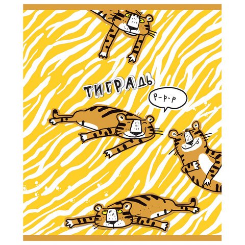 Тетрадь А5 48 л. ПЗБМ, скоба, клетка, фольга, конгрев, TWIN лак, «Тиградь» (5 видов), 029135