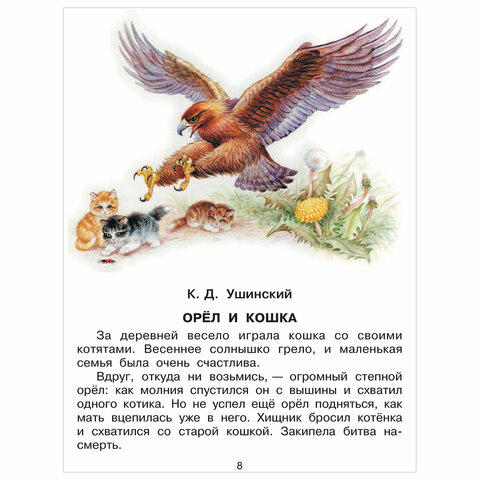 Магазин Семья Орел Магазин Семья Орел