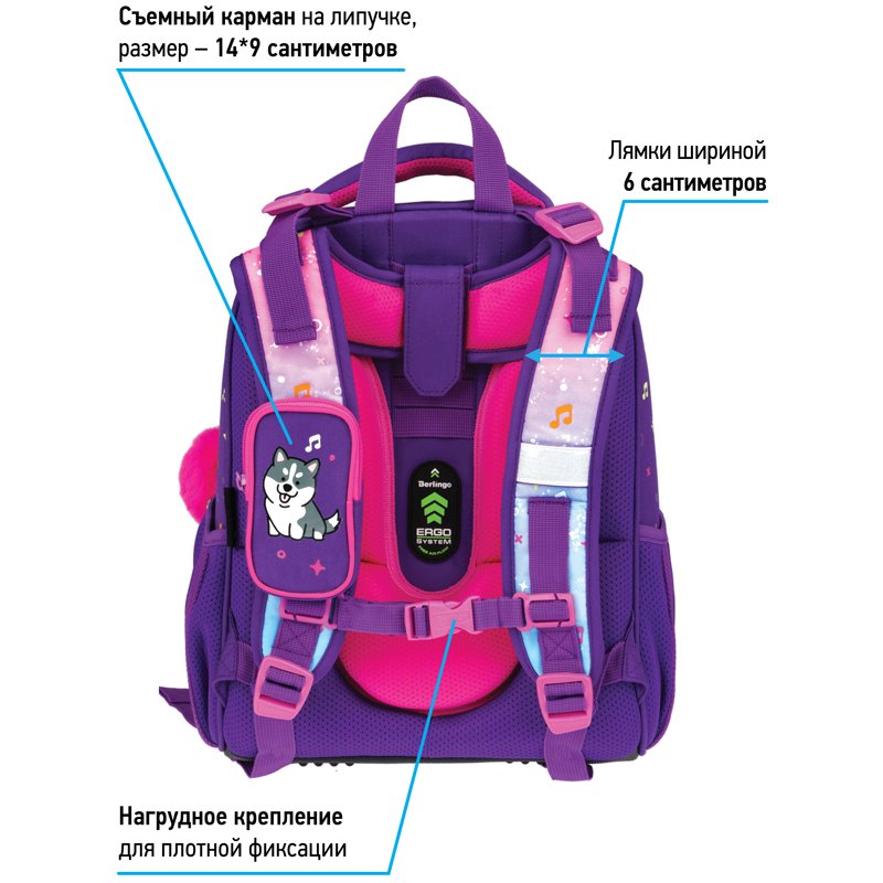 Ранец Berlingo Expert «Husky boy» 37×28×16см, 2 отделения, 2 кармана, анатомическая спинка
