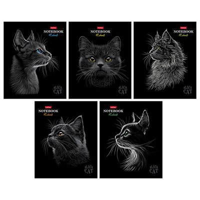 Тетрадь А5, 48 л., HATBER, скоба, клетка, матовая ламинация, 3D-лак, «Black Cat» (микс в спайке), 093159