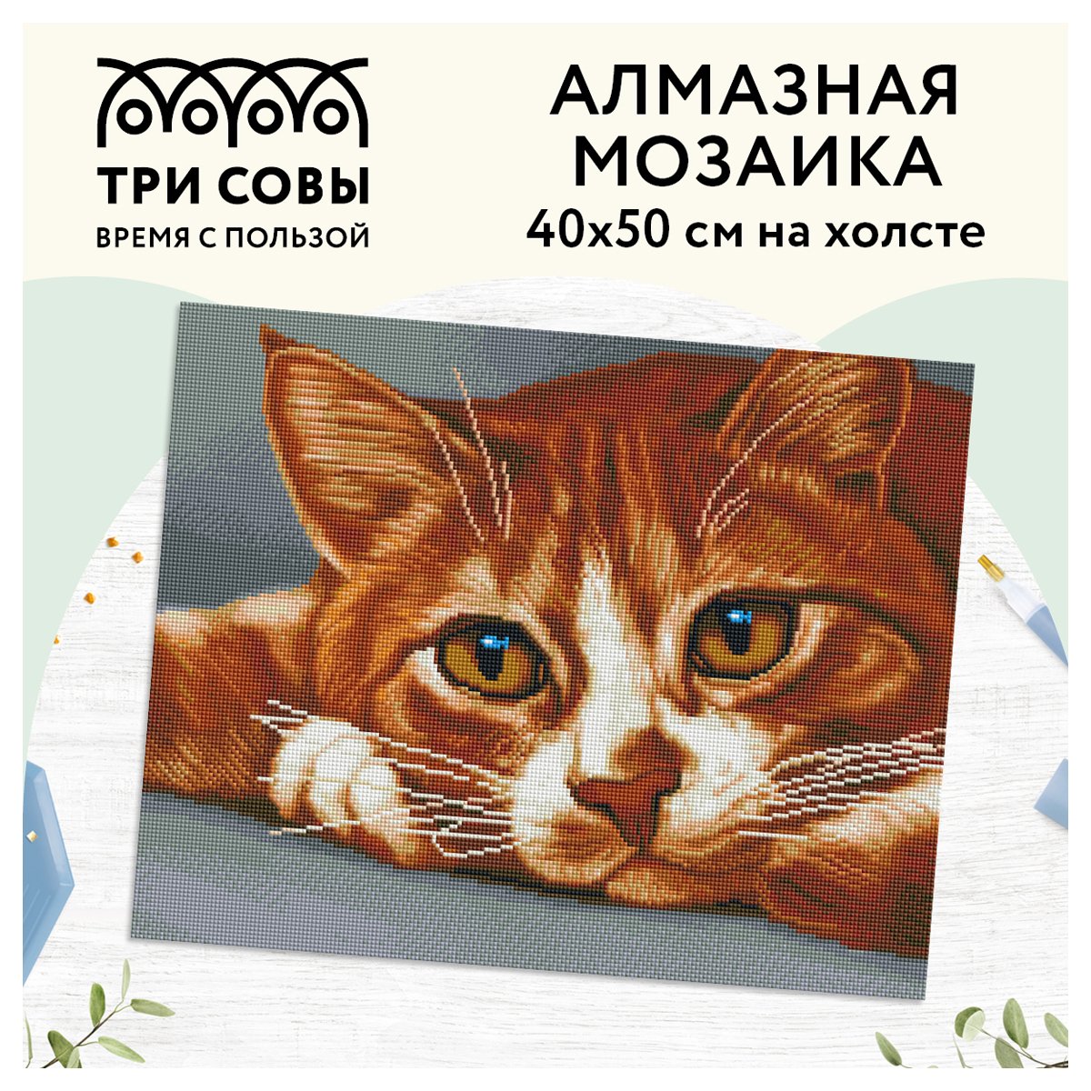 Алмазная мозаика ТРИ СОВЫ «Рыжик», 40×50см, холст, картонная коробка с пластиковой ручкой