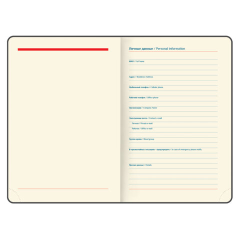 Ежедневник датированный 2027, А5, 148×218 мм, GALANT «Magnetic», под кожу, клапан, коричневый