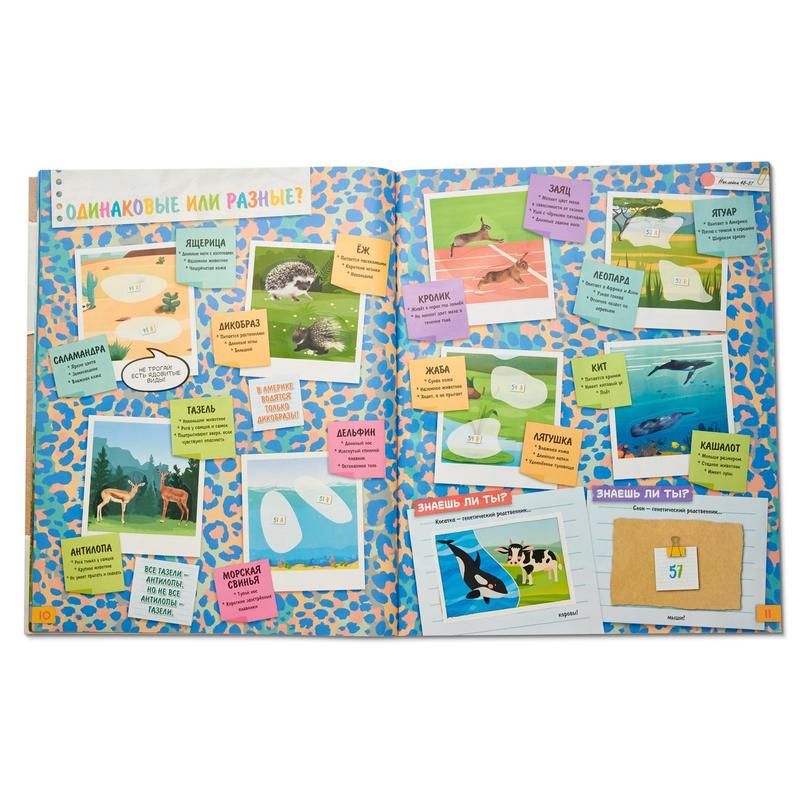 Альбом для наклеек Panini Animals Зоопланета 2020 - купить в Москве ...