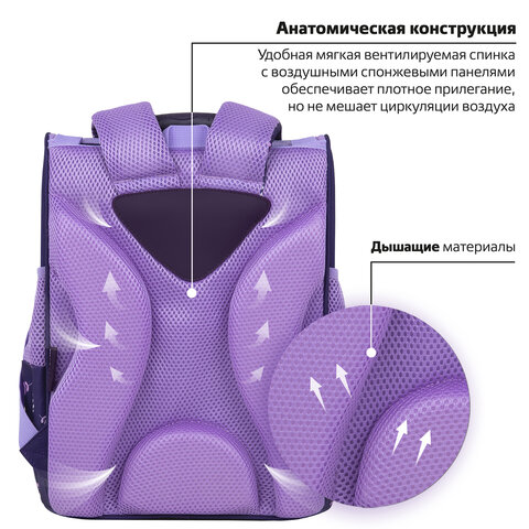 Ранец ПИФАГОР BASIC, 1 отделение, 3 кармана, эргономичная спинка, «Happy bear», 35×28х18 см