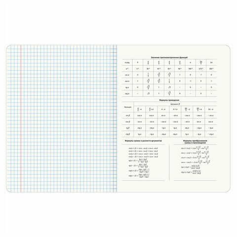 Тетради предметные, КОМПЛЕКТ 12 ПРЕДМЕТОВ, «ELEGANCE», 48 л., SoftTouch, фольга, BRAUBERG