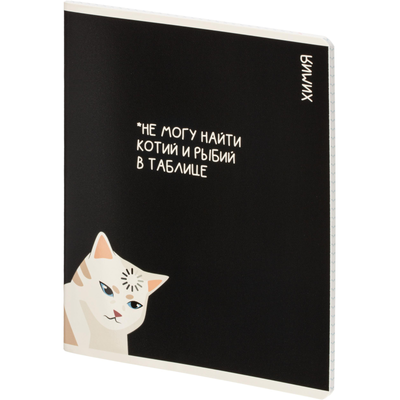 Тетрадь предметная КОТЫ МЕМЫ, набор12 шт.48л, А5+, клетка/линия/71449