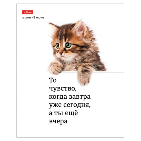 Тетрадь А5 48 л., HATBER скоба, клетка, обложка картон, «Котоюмор» (микс в спайке), 079790