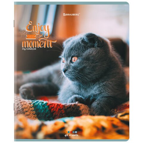 Тетради ДЭК А5 96 л. КОМПЛЕКТ 5 шт., BRAUBERG скоба, клетка, матовая ламинация, «Котики»