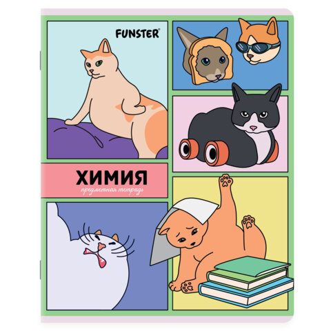 Тетради предметные, КОМПЛЕКТ 12 ПРЕДМЕТОВ, 48 л., TWIN-лак, FUNSTER (ФАНСТЕР), МЕМНЫЕ КОТЫ
