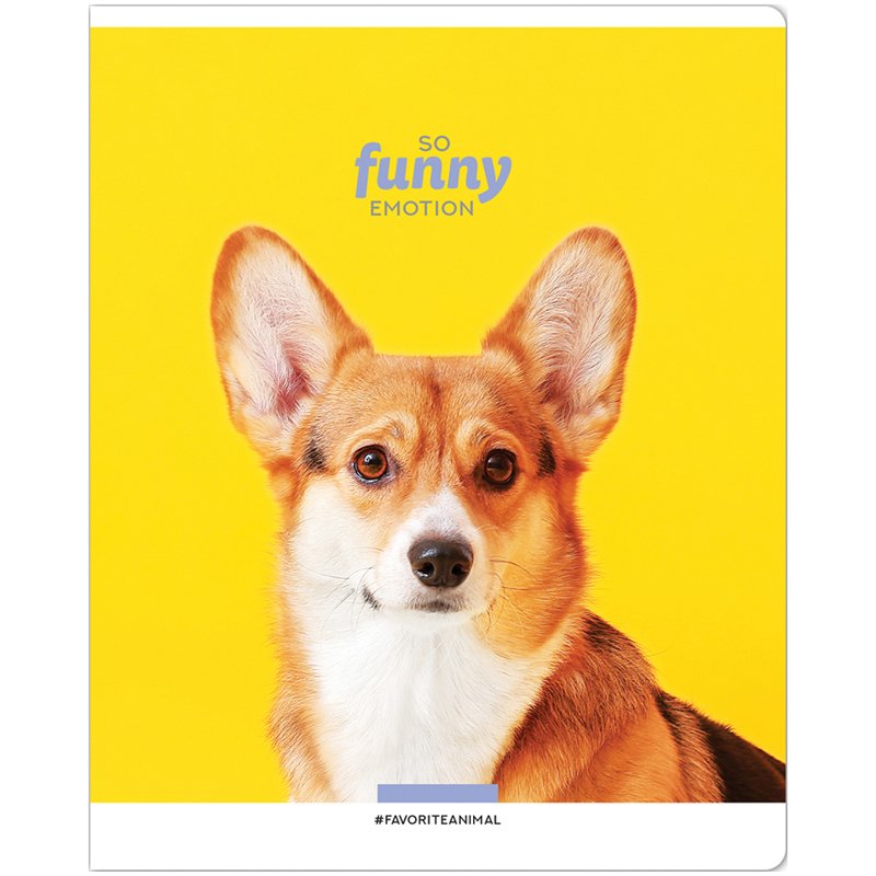 Тетрадь 48л., А5, клетка ArtSpace «Питомцы. So funny», эконом