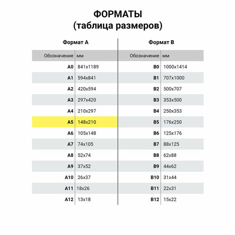 Тетрадь 48 л. в линию обложка гладкий кожзам, сшивка, A5 (147×210мм), ЧЕРНЫЙ, BRAUBERG VIVA