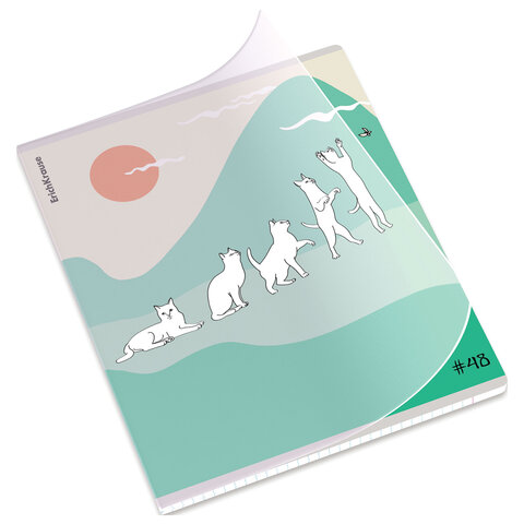 Тетрадь обложка пластик, А5, 48 л., скоба, клетка, ERICH KRAUSE, «Cat Day» (микс в спайке)