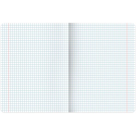 Тетрадь предметная «PASTEL» 48 л., SoftTouch, фольга, ИНФОРМАТИКА, клетка, BRAUBERG