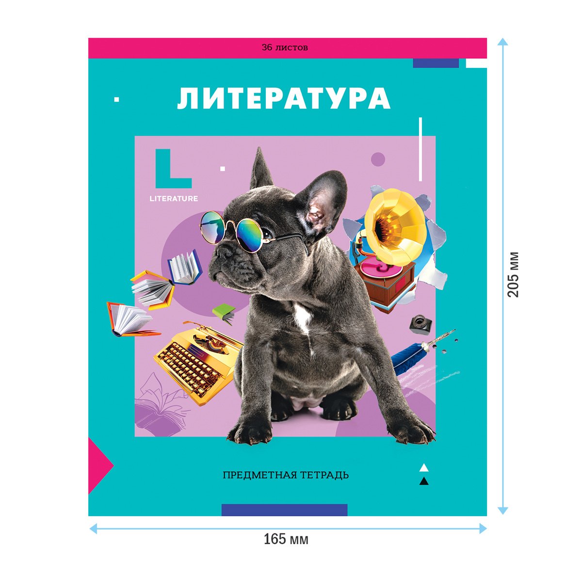 Тетрадь предметная 36л. ArtSpace «Пять в квадрате» - Литература, эконом