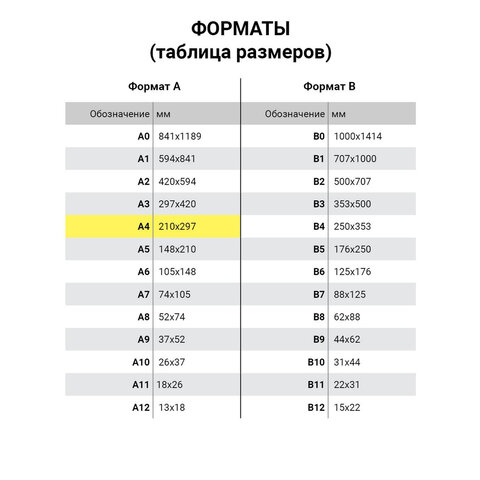 Журнал учета проверок юридических лиц и ИП, 96 л., А4 200×290 мм, бумвинил, фольга, офсет, BRAUBERG, 130235
