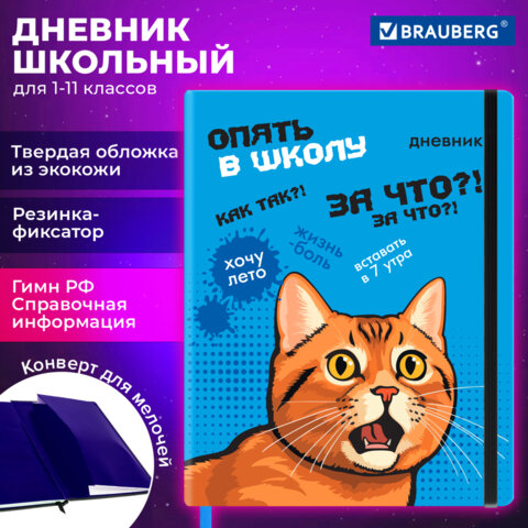 Дневник 1-11 класс 48 л., кожзам (твердая), печать, резинка, конверт, BRAUBERG, «Опять в школу»