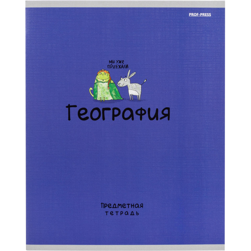 Тетрадь предметная 48л. MINI FRIENDS, набор 10 шт., 48-2519