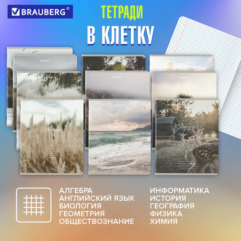 Тетради предметные, КОМПЛЕКТ 12 ПРЕДМЕТОВ, 48 л., SoftTouch, BRAUBERG, «ESTHETICS»