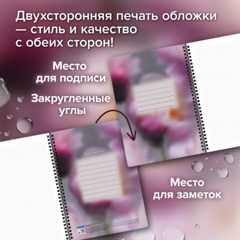 Тетради ДЭК А4 96 л. КОМПЛЕКТ 2 шт., BRAUBERG, гребень, клетка, 80 г/м2, Soft-Touch, «Aesthetics»