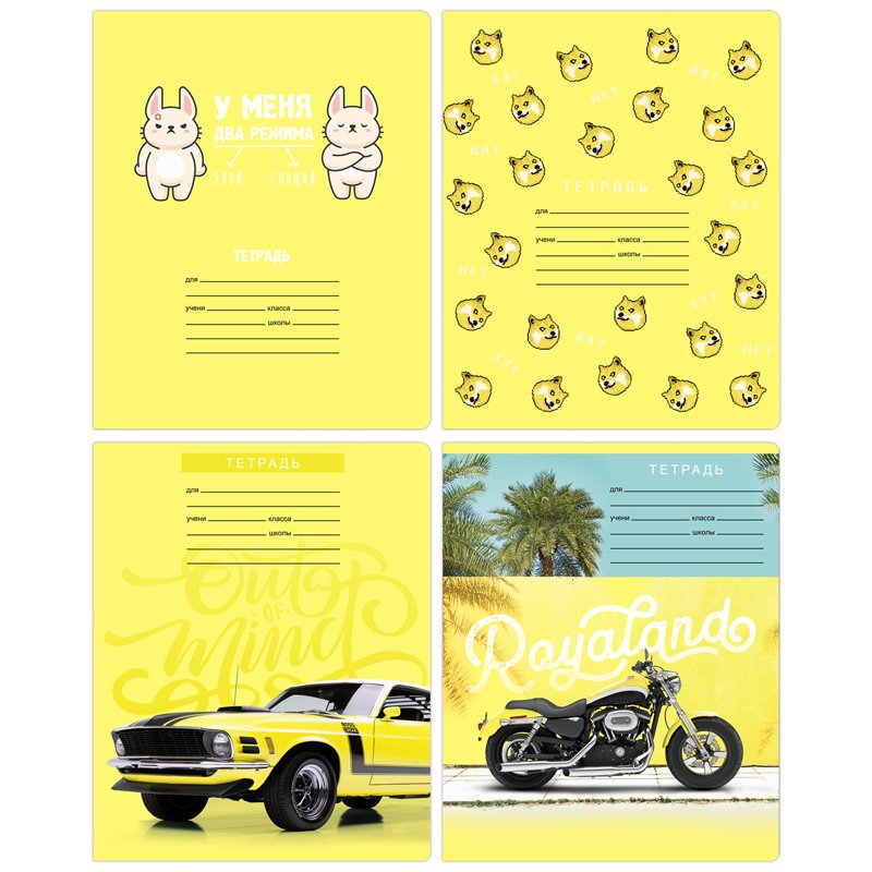 Тетрадь 12л., линия BG «Happy yellow» - купить в Москве оптом и в ...