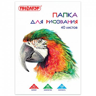 Папка для рисования БОЛЬШОГО ФОРМАТА А3, 40 л., 120 г/м2, ПИФАГОР, 297×420 мм, «Попугай»