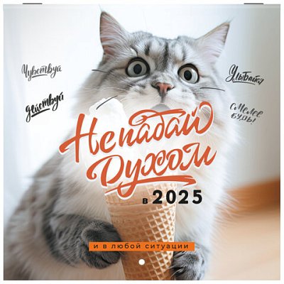 Календарь настенный перекидной на 2025 г., BRAUBERG, 12 листов, 22.5×22.5 см, МИНИ, «Не падай духом»
