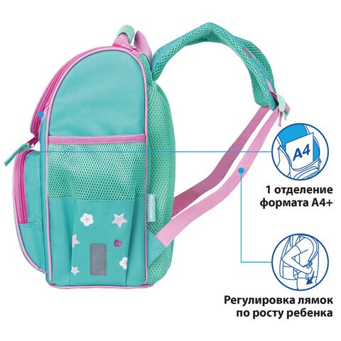 Ранец ПИФАГОР BASICс эргономичной спинкойBaby lama35×28х18 см229934