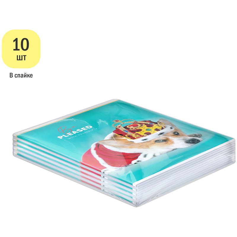 Тетрадь 40л., А5, клетка ArtSpace «Питомцы. Be pleased», эконом