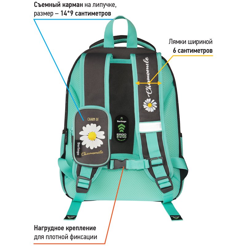 Ранец Berlingo Expert Plus «Chamomile» 38×29×15см, 2 отделения, 2 кармана, анатомическая спинка